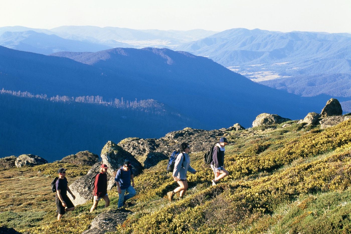 Great Alpine Walk.jpg